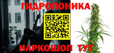 скорость Боровичи