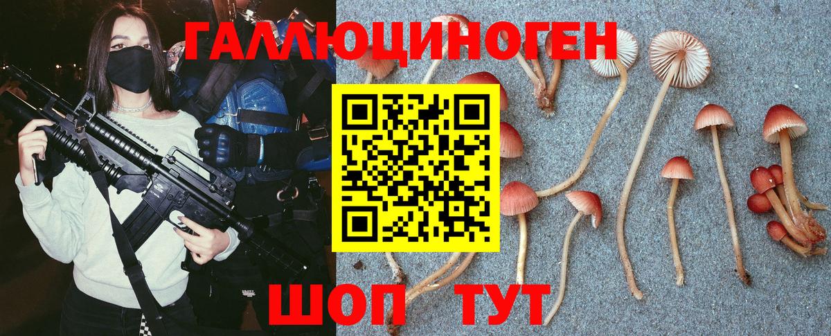 Галлюциногенные грибы мицелий Артёмовский